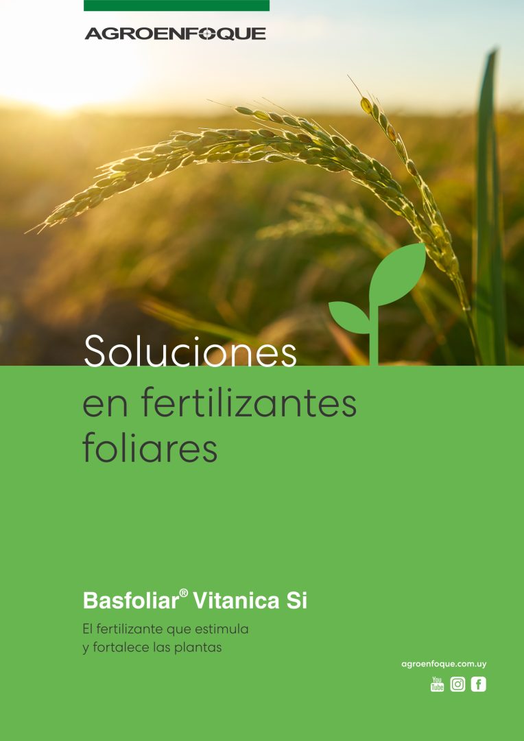 Agroenfoque - Basfoliar® Vitanica Si