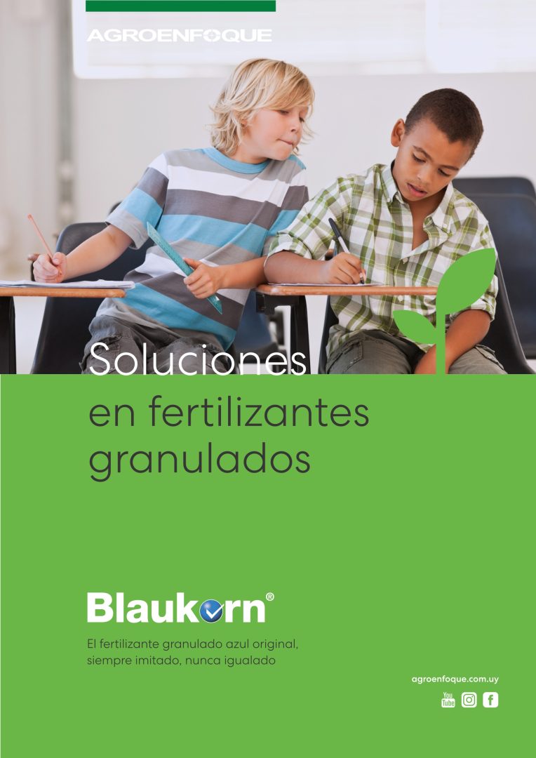 Agroenfoque - Blaukorn® Classic